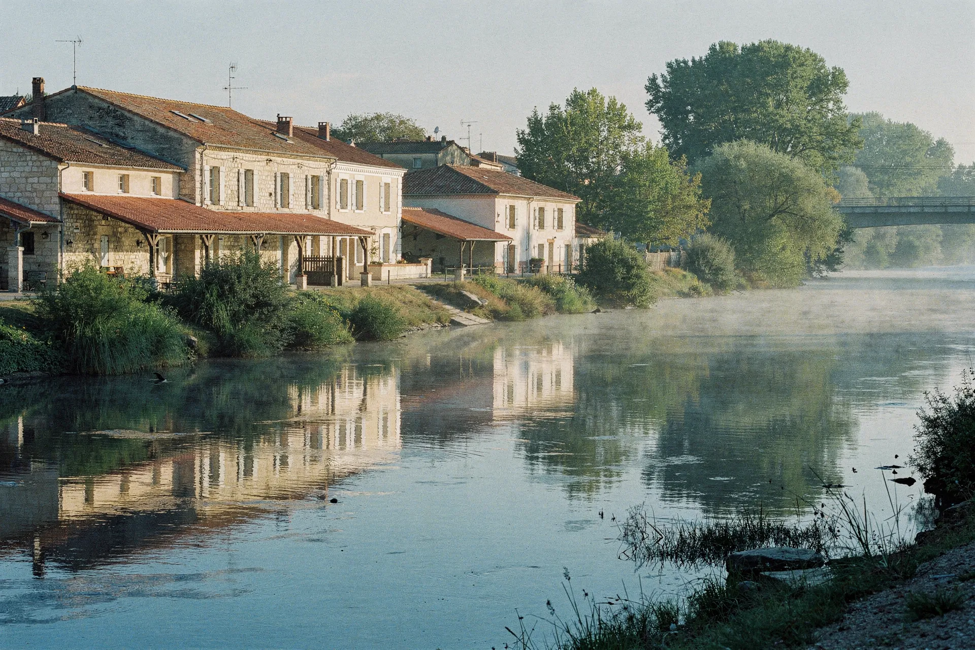 Démoussage et entretien de toiture à Portet-sur-Garonne (31) — toitures tuile canal