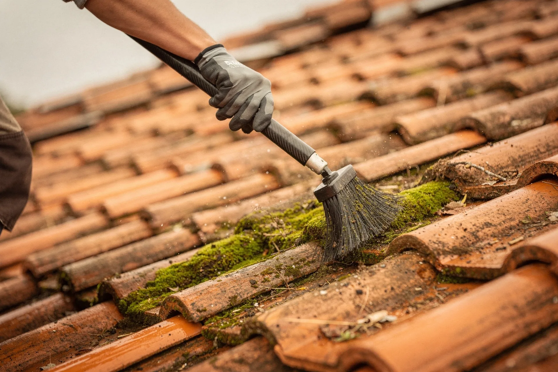 Démoussage de toiture — illustration